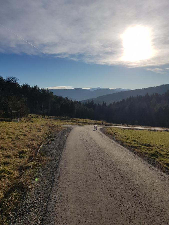 Domek Na Folwarku Tarnawa Dolna  Exterior foto